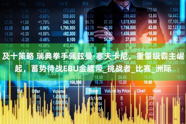 及十策略 瑞典拳手佩兹曼·塞夫卡尼，重量级霸主崛起，蓄势待战EBU金腰带_挑战者_比赛_洲际