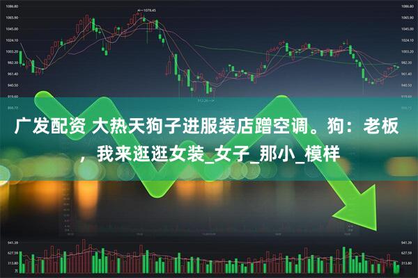 广发配资 大热天狗子进服装店蹭空调。狗：老板 ，我来逛逛女装_女子_那小_模样