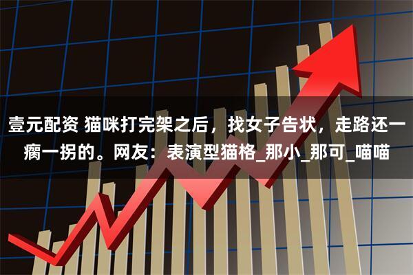 壹元配资 猫咪打完架之后，找女子告状，走路还一瘸一拐的。网友：表演型猫格_那小_那可_喵喵