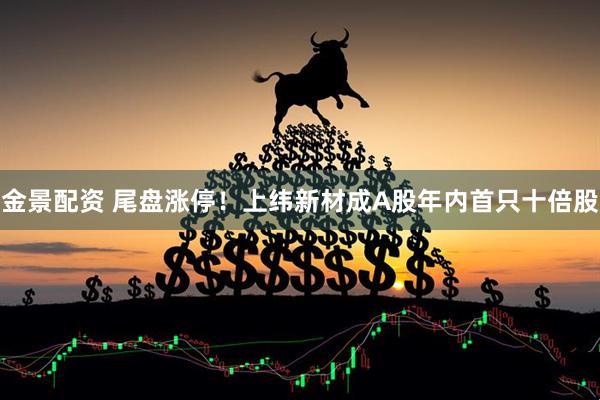金景配资 尾盘涨停！上纬新材成A股年内首只十倍股