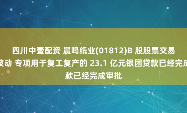 四川中壹配资 晨鸣纸业(01812)B 股股票交易异常波动 专项用于复工复产的 23.1 亿元银团贷款已经完成审批