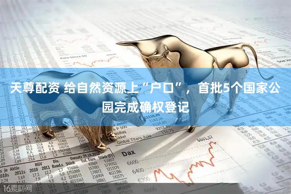 天尊配资 给自然资源上“户口”，首批5个国家公园完成确权登记