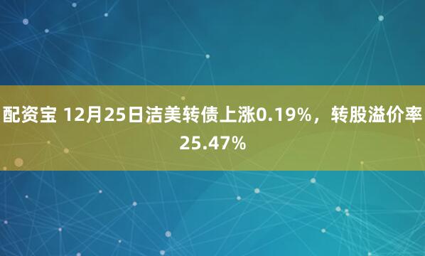 配资宝 12月25日洁美转债上涨0.19%，转股溢价率25.47%