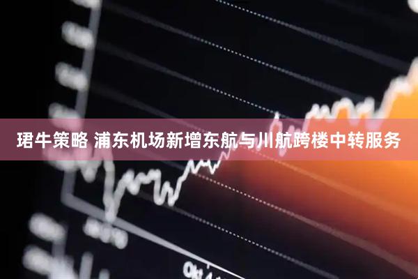 珺牛策略 浦东机场新增东航与川航跨楼中转服务